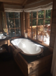 Bath tub in the forest!